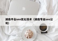 湖南平台seo优化技术（湖南专业seo公司）
