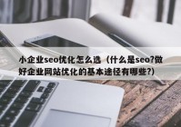 小企业seo优化怎么选（什么是seo?做好企业网站优化的基本途径有哪些?）