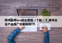 柳州品牌seo优化教程（了解一下,柳州企业产品推广效果如何??）